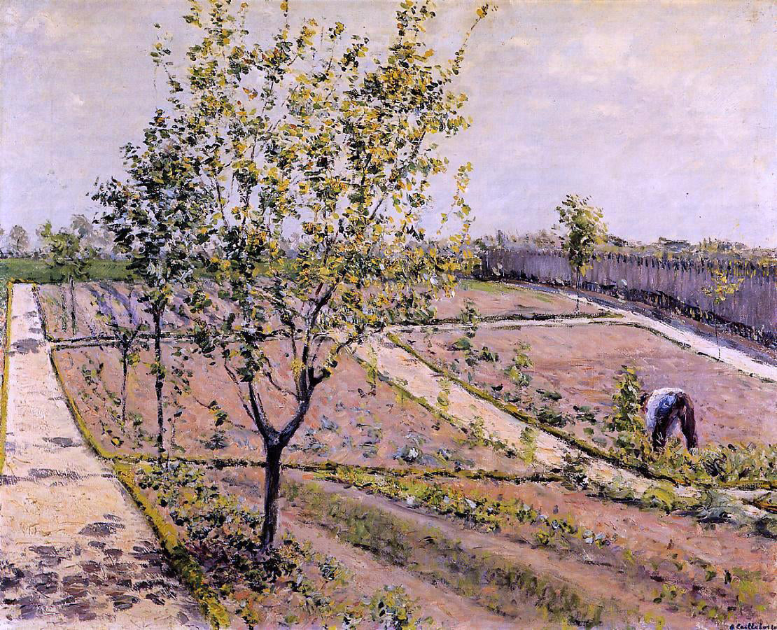 Gustave Caillebotte Kitchen Garden, Petit Gennevilliers - Canvas Print