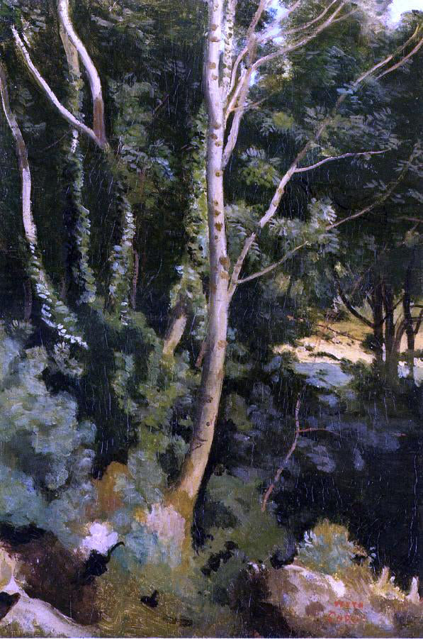 Jean-Baptiste-Camille Corot Landscape - Canvas Print