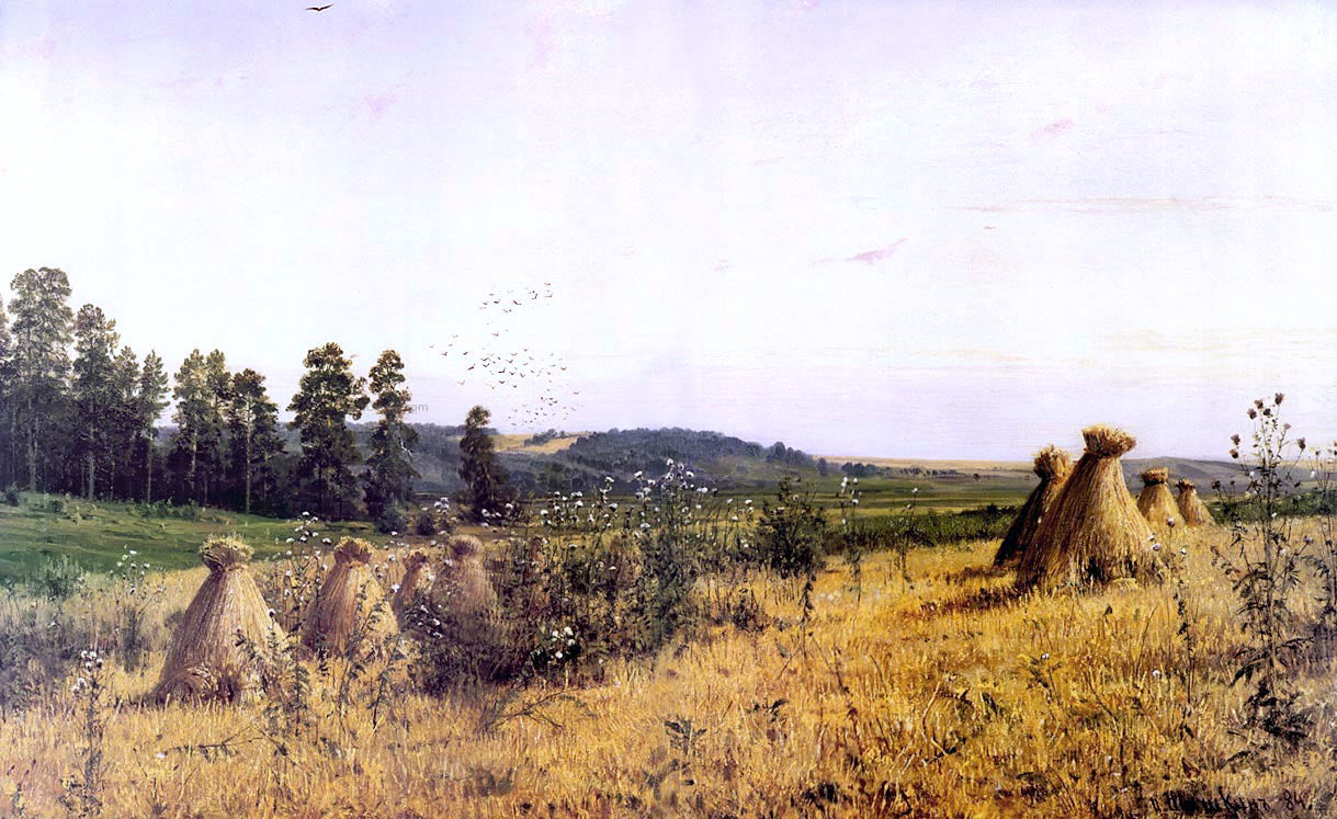 Ivan Ivanovich Shishkin Landscape in Polessie - Canvas Print