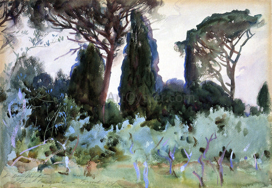 John Singer Sargent Landscape near Florence - Canvas Print