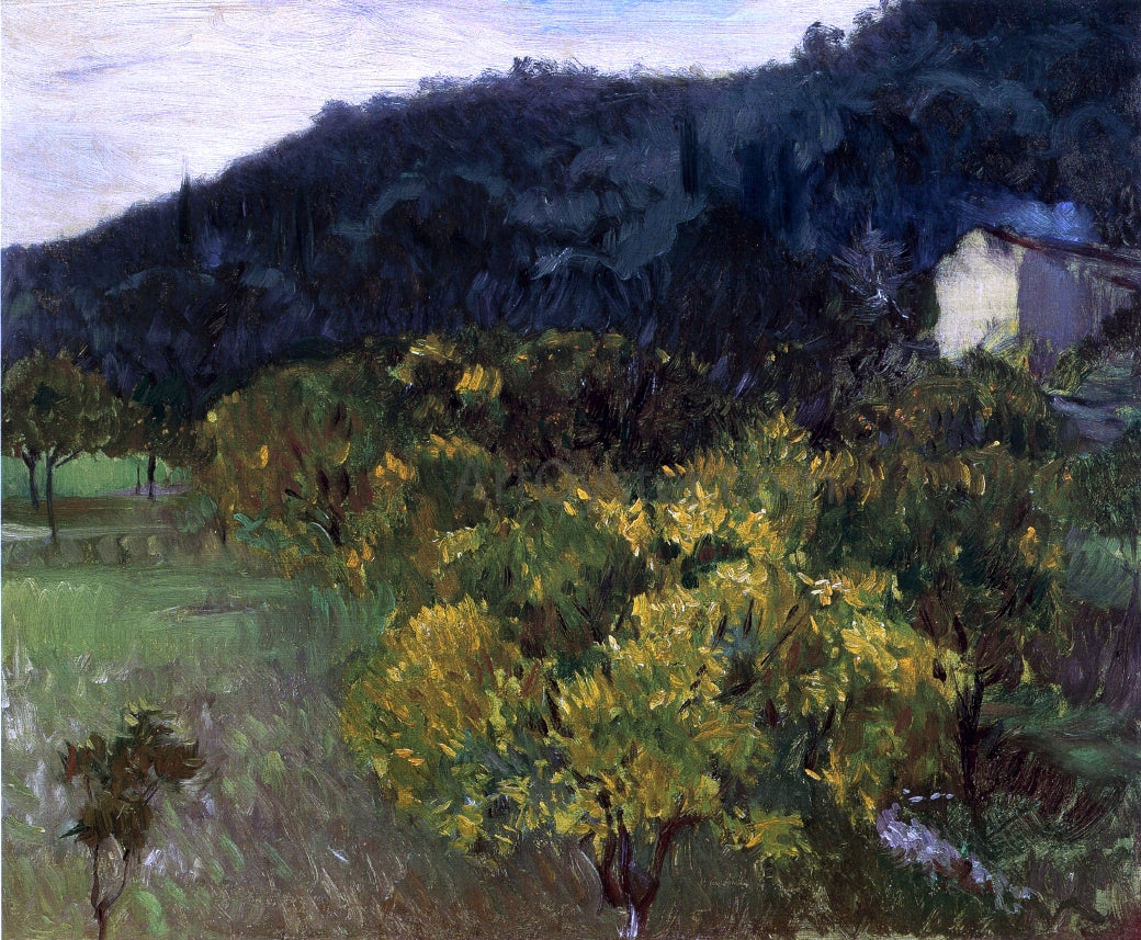 John Singer Sargent Landscape near Grasse - Canvas Print