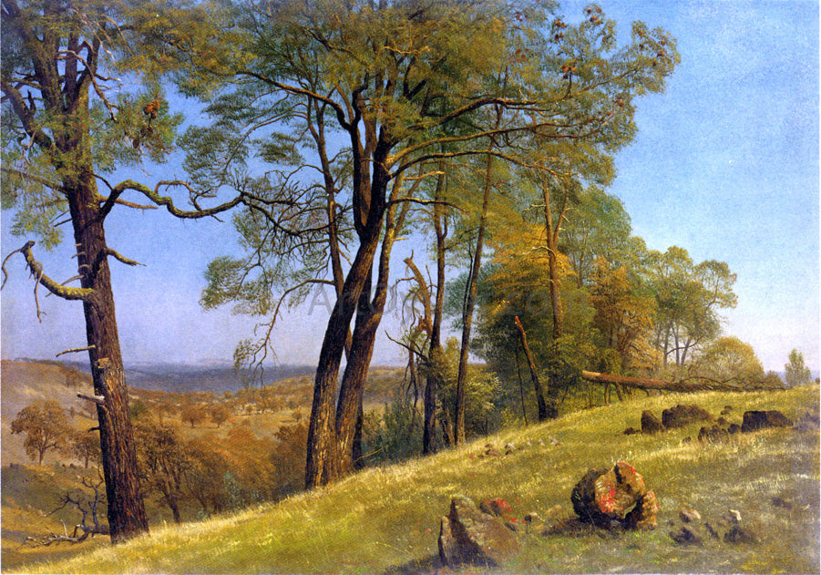 Albert Bierstadt Landscape, Rockland County, California - Canvas Print