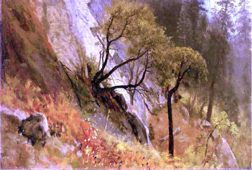 Albert Bierstadt Landscape Study: Yosemite, California - Canvas Print