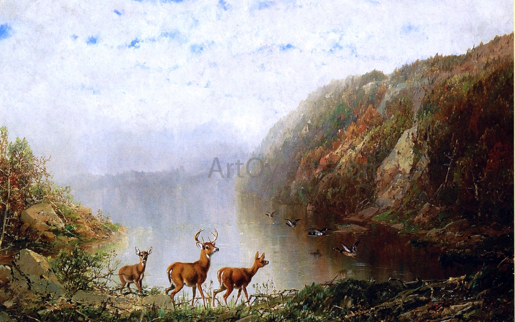 Herman Herzog Landscape with Deer and Ducks - Canvas Print