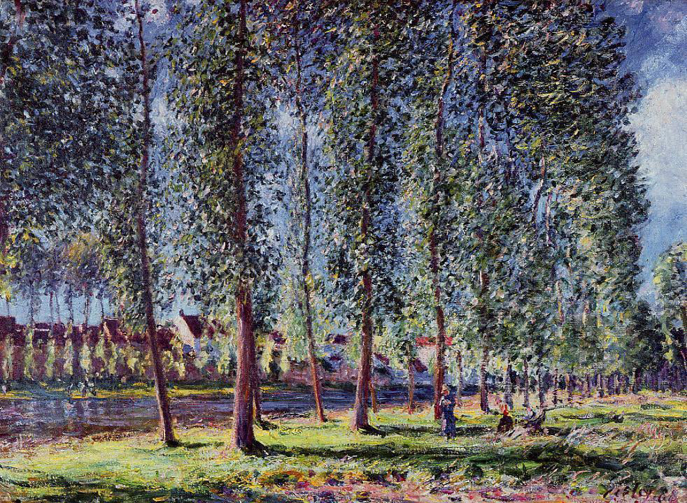 Alfred Sisley Lane of Poplars at Moret - Canvas Print