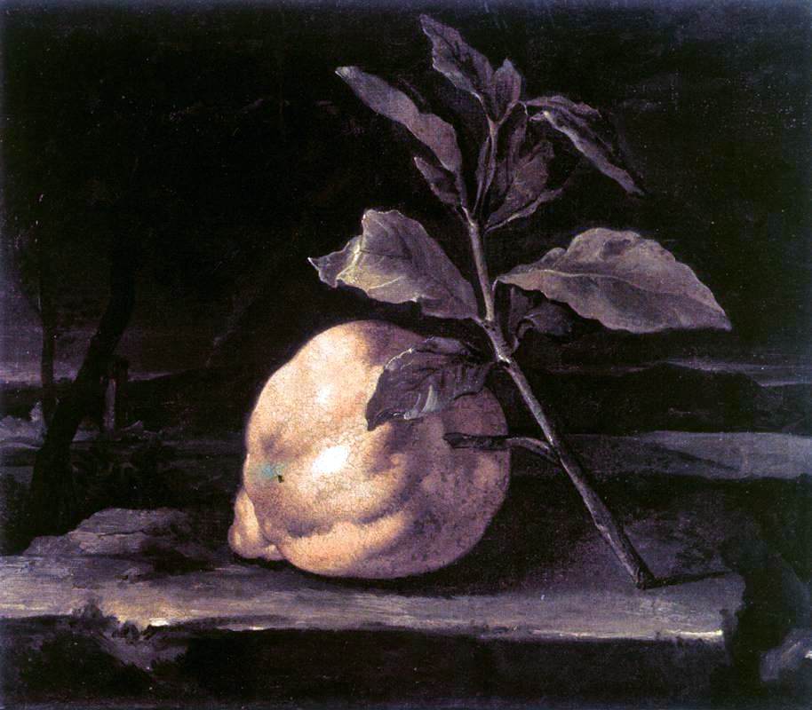 Bartolomeo Bimbi Large Citron in a Landscape - Canvas Print
