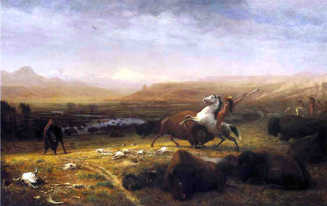Alfred Jacob Miller Last of the Buffalo - Canvas Print