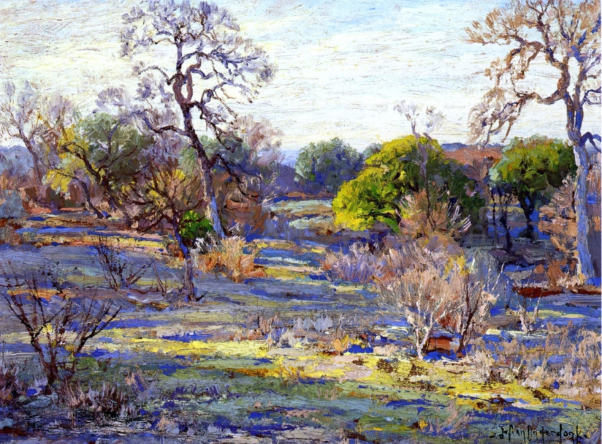Julian Onderdonk Late Afternoon, Alamo Heights, San Antonio, Texas - Canvas Print
