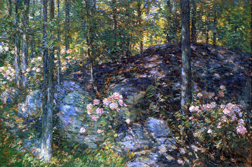 Frederick Childe Hassam Laurel on the Ledges - Canvas Print