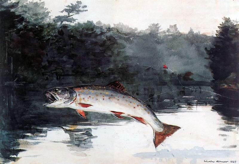 Winslow Homer Leaping Trout - Canvas Print