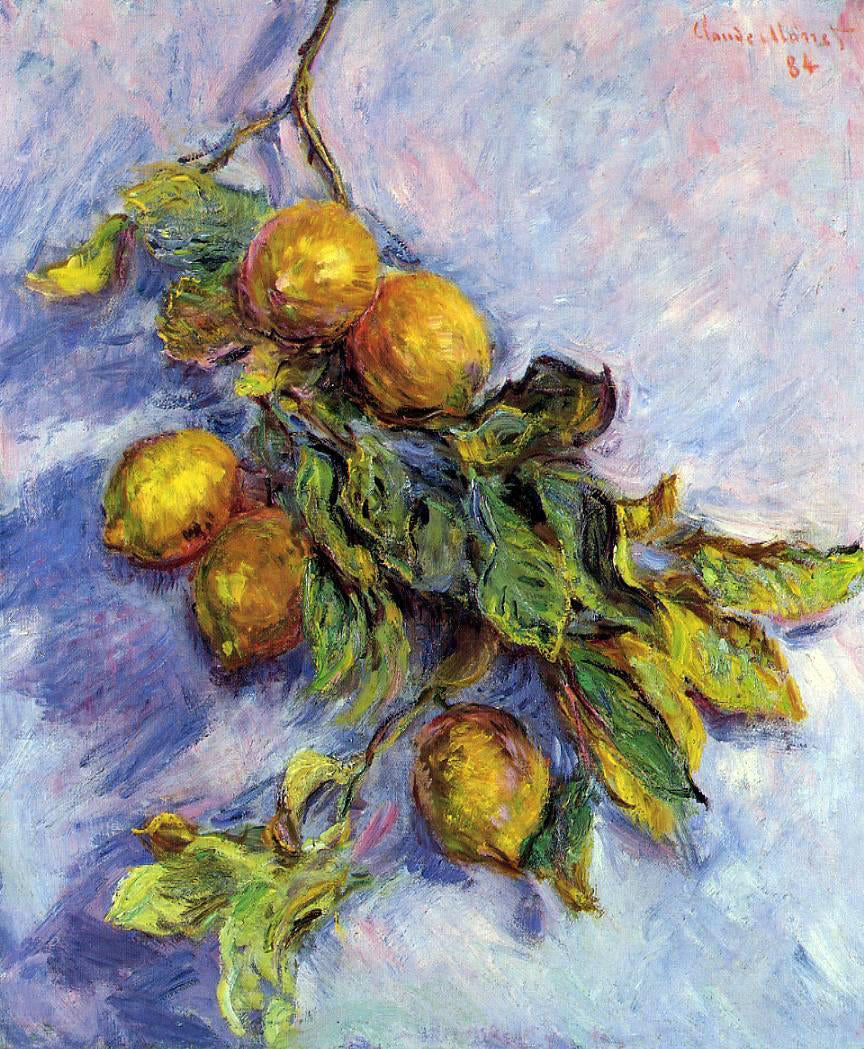 Claude Oscar Monet Lemons on a Branch - Canvas Print
