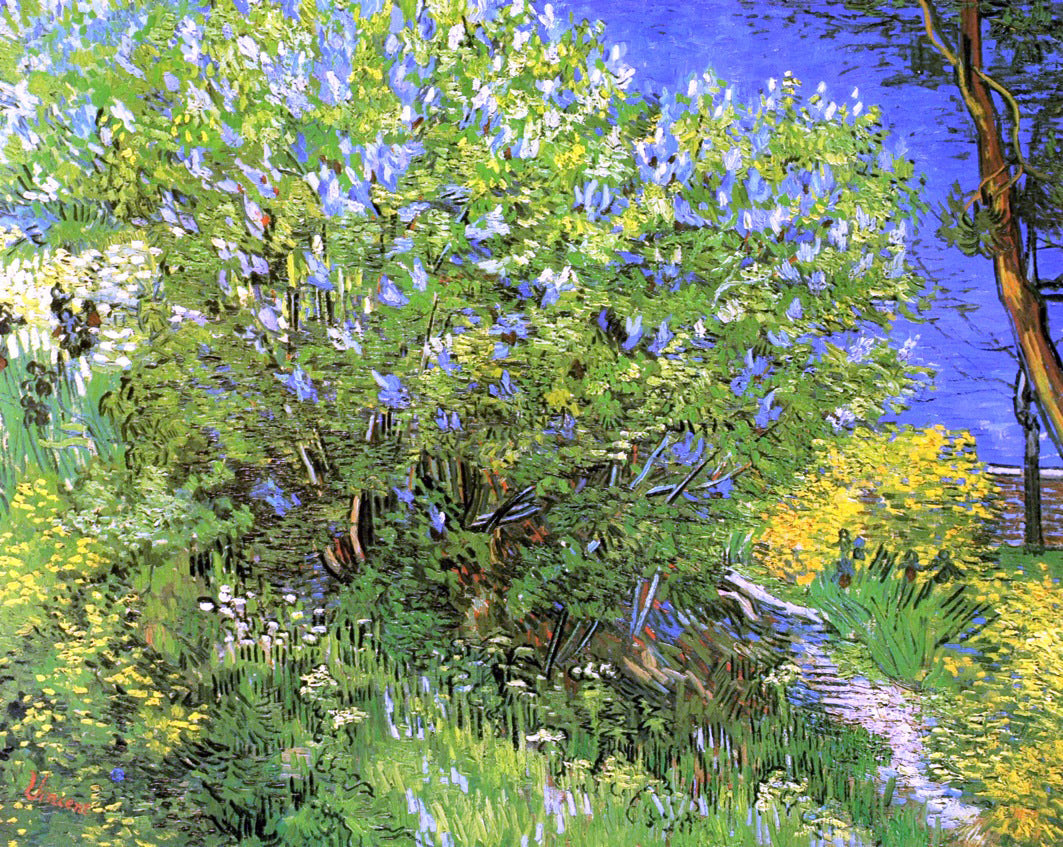 Vincent Van Gogh Lilacs - Canvas Print