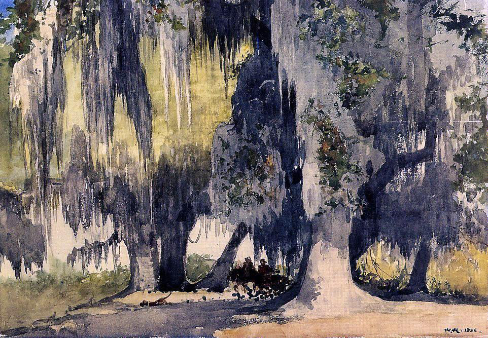 Winslow Homer Live Oaks - Canvas Print