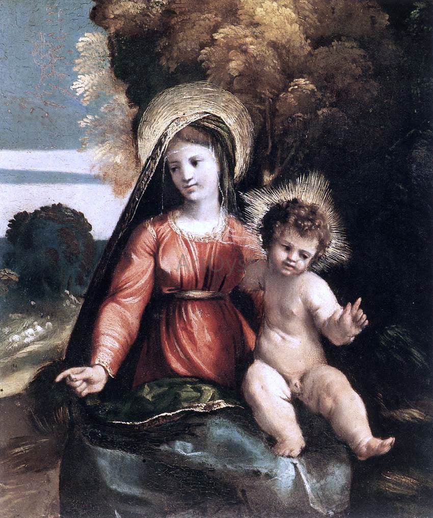 Dosso Dossi Madonna and Child - Canvas Print