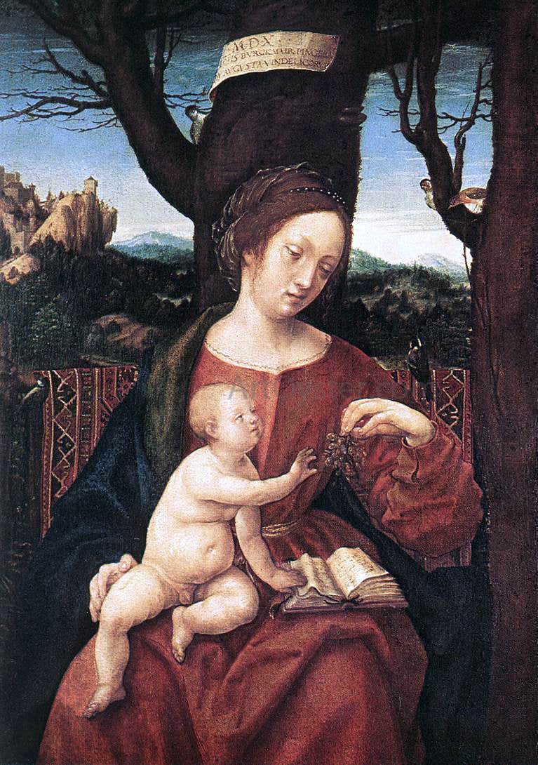 Hans Burgkmair Madonna with Grape - Canvas Print