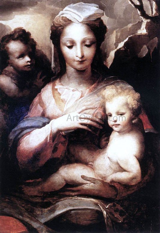 Domenico Beccafumi Madonna with the Infant Christ and St John the Baptist - Canvas Print