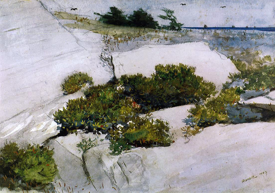 Winslow Homer Maine Cliffs - Canvas Print