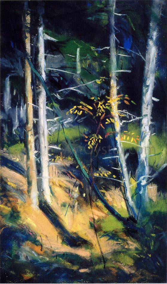 Robert Henri Maine Landscape - Canvas Print