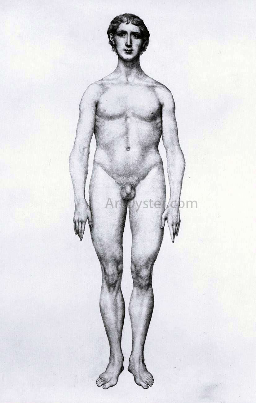 George Stubbs Man - Canvas Print