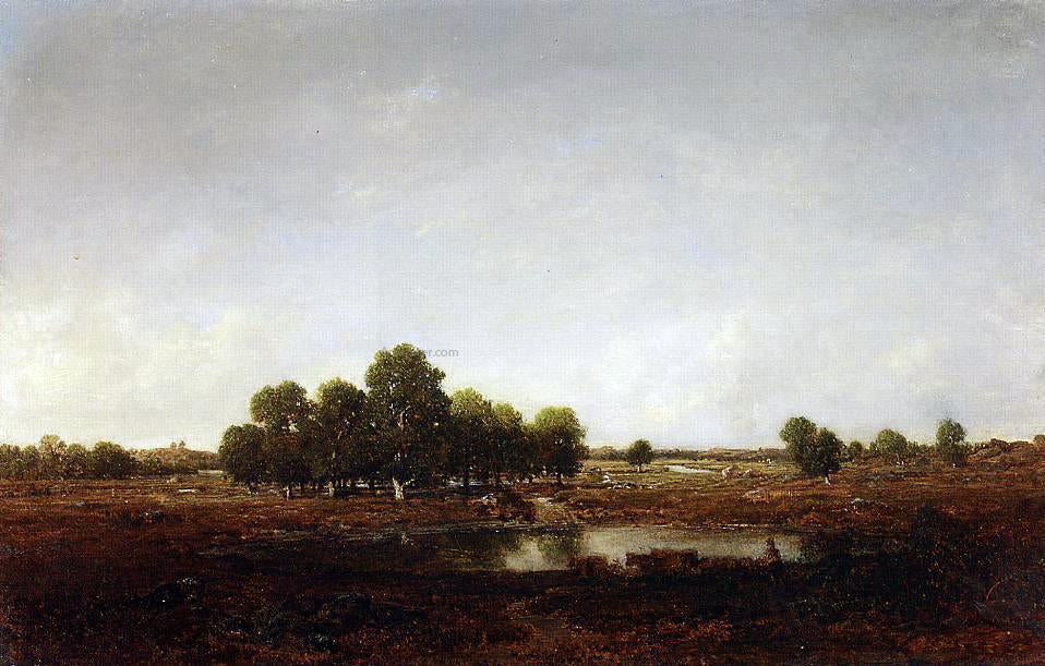Theodore Rousseau Marsh Land - Canvas Print