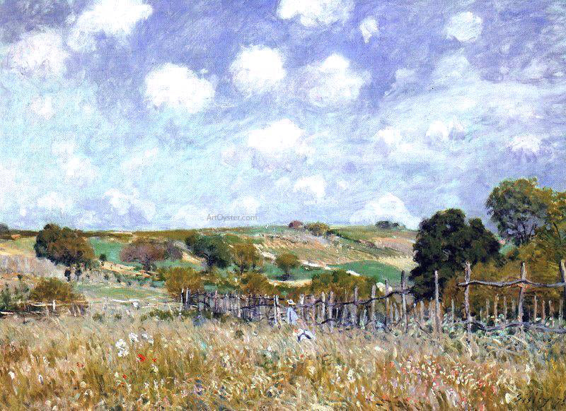 Alfred Sisley Meadow - Canvas Print