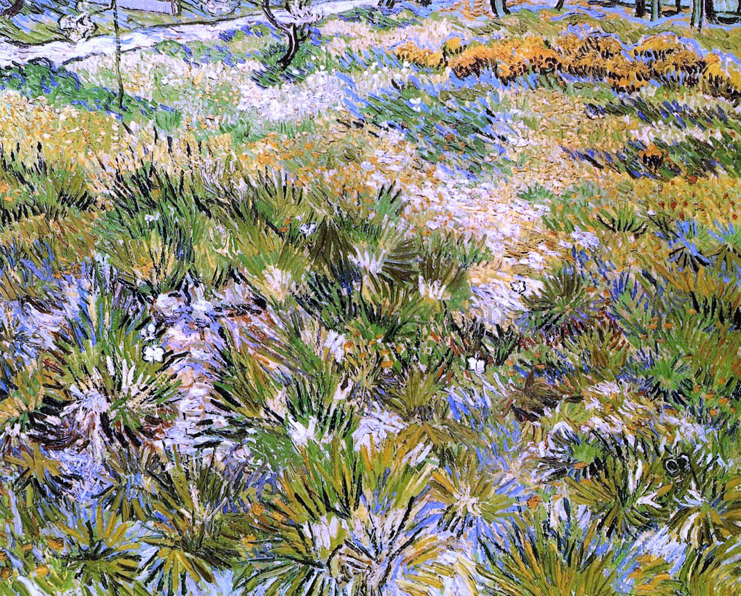 Vincent Van Gogh Meadow in the Garden of Saint-Paul Hospital - Canvas Print