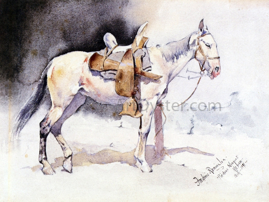 Frederic Remington Mexican Pony - Piedras Neagras - Canvas Print