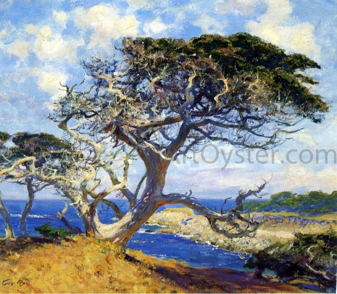 Guy Orlando Rose Monterey Cypress - Canvas Print