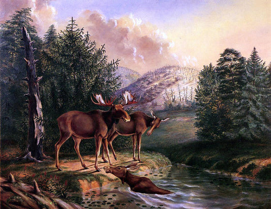 II Titian Ramsey Peale Moose in Maine - Canvas Print