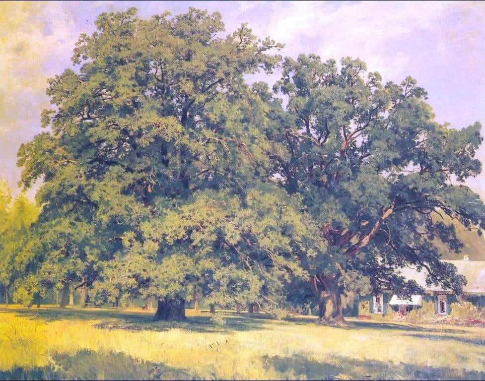 Ivan Ivanovich Shishkin Mordvinov's oaks - Canvas Print