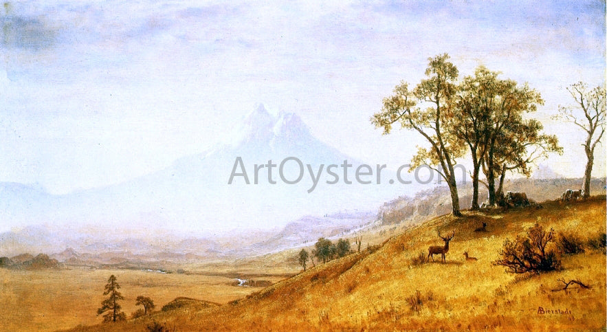 Albert Bierstadt Mount Hood - Canvas Print