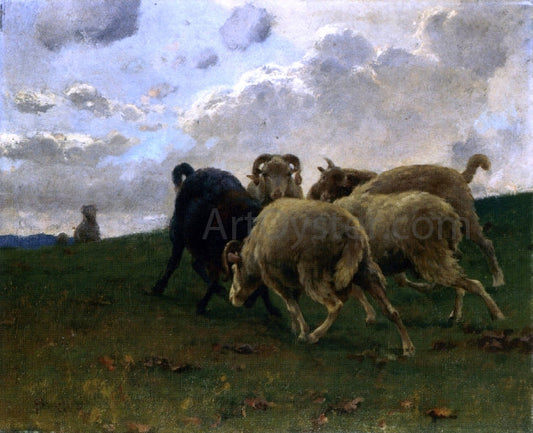 Stafano Bruzzi Mountain Goats - Canvas Print
