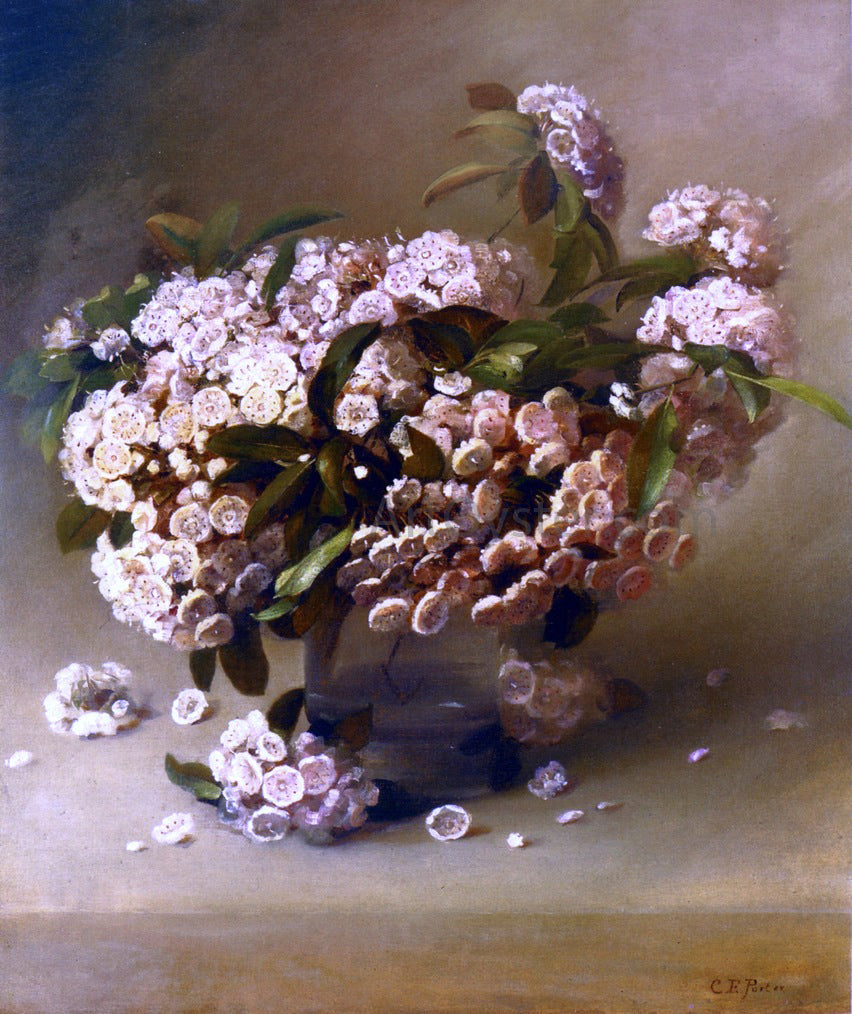 Charles Ethan Porter Mountain Laurel - Canvas Print