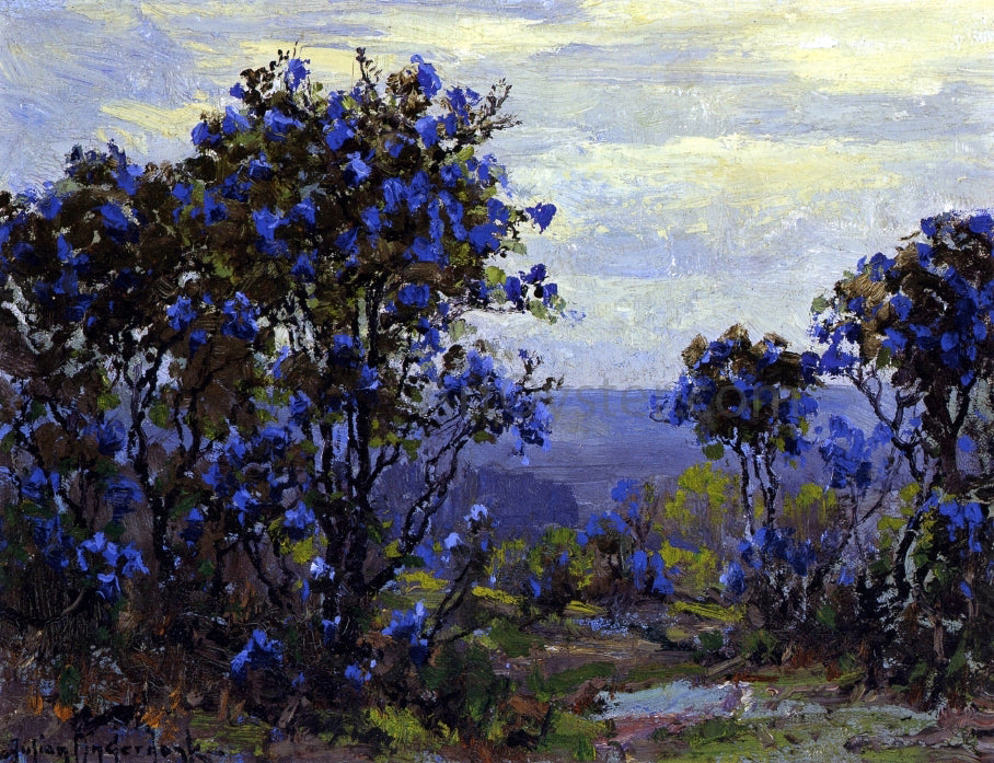 Julian Onderdonk Mountain Laurel in Bloom - Canvas Print
