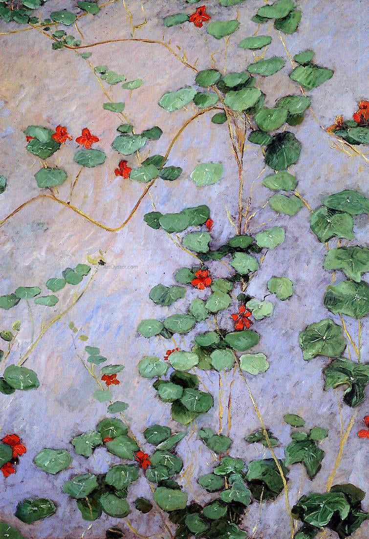 Gustave Caillebotte Nasturtiums - Canvas Print