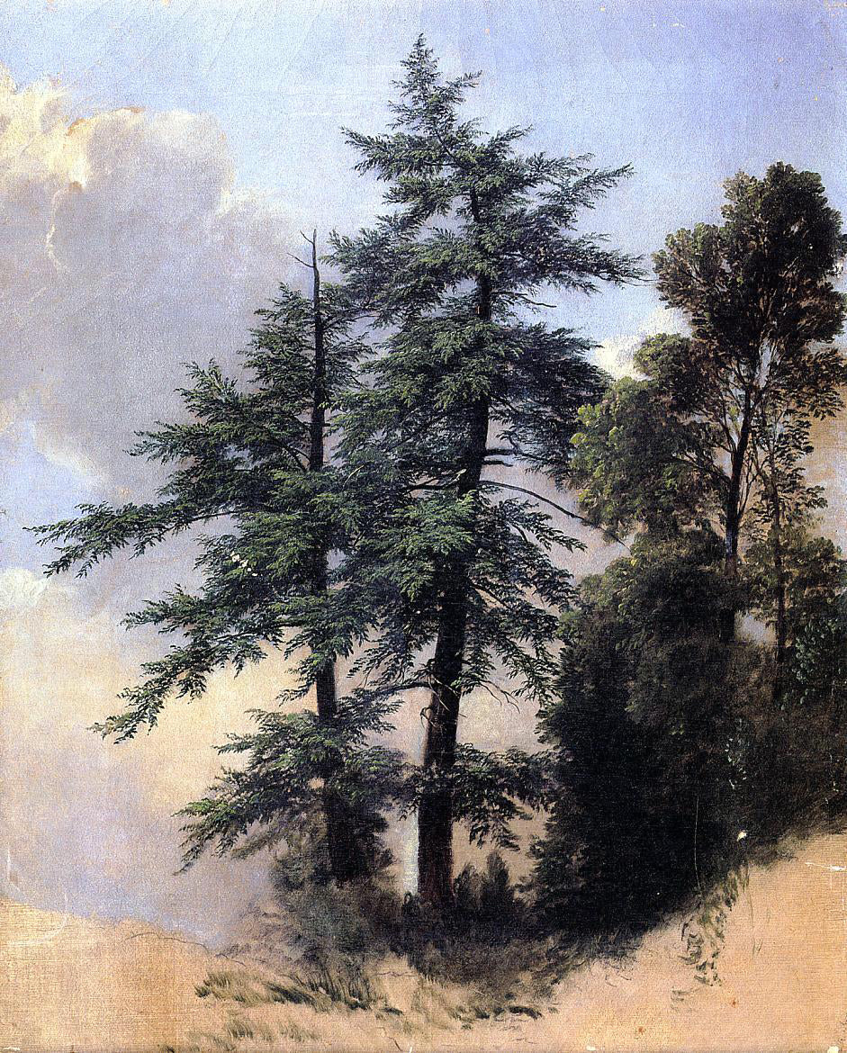 Asher Brown Durand Nature Study, Trees, Newburth, N.Y. - Canvas Print