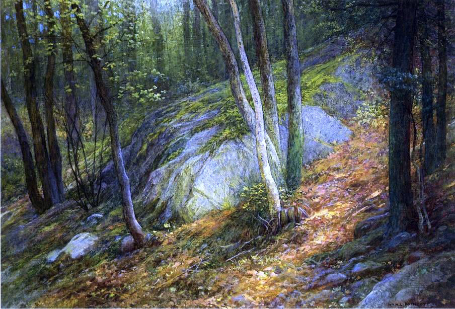 William H Lipincott Nature's Pathway - Canvas Print