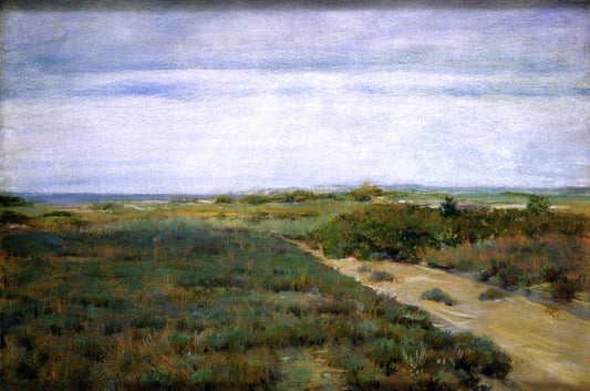 William Merritt Chase Near the Sea (also known as Shinnecock) - Canvas Print