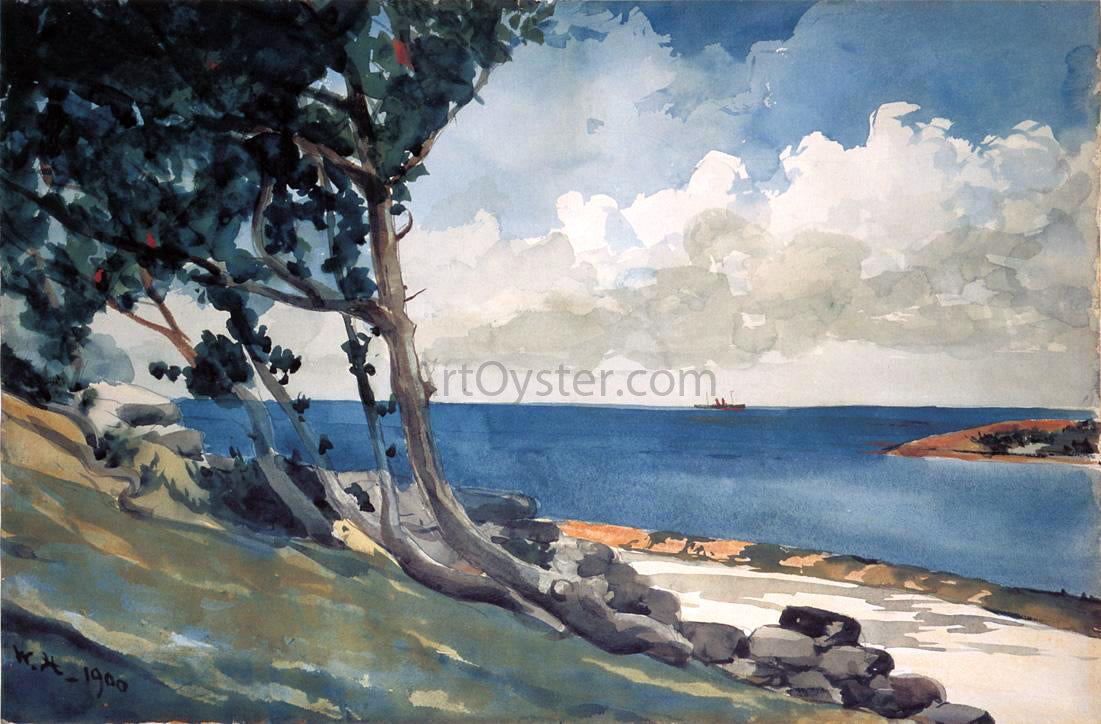 Winslow Homer North Road, Bermuda - Canvas Print