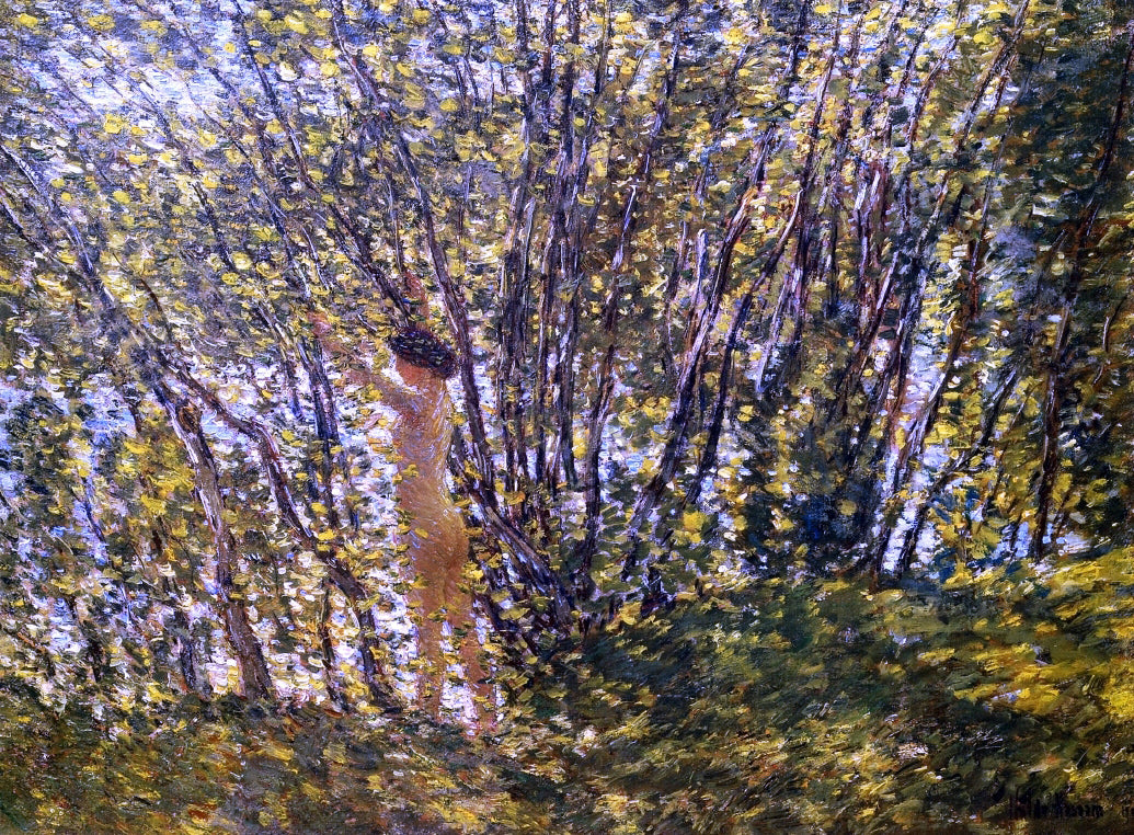 Frederick Childe Hassam Nude in Sunlilt Wood - Canvas Print