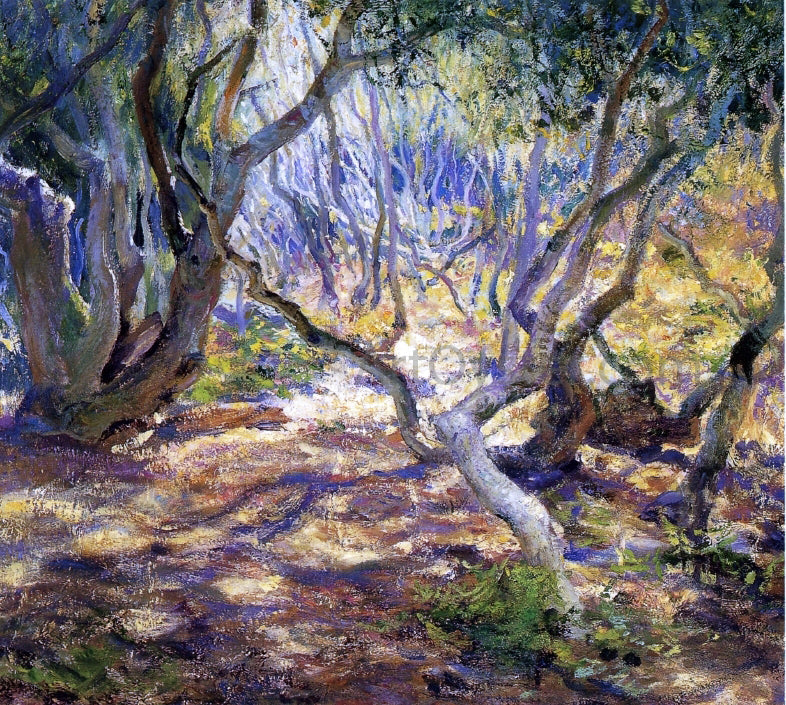 Guy Orlando Rose Oak Grove, Carmel - Canvas Print