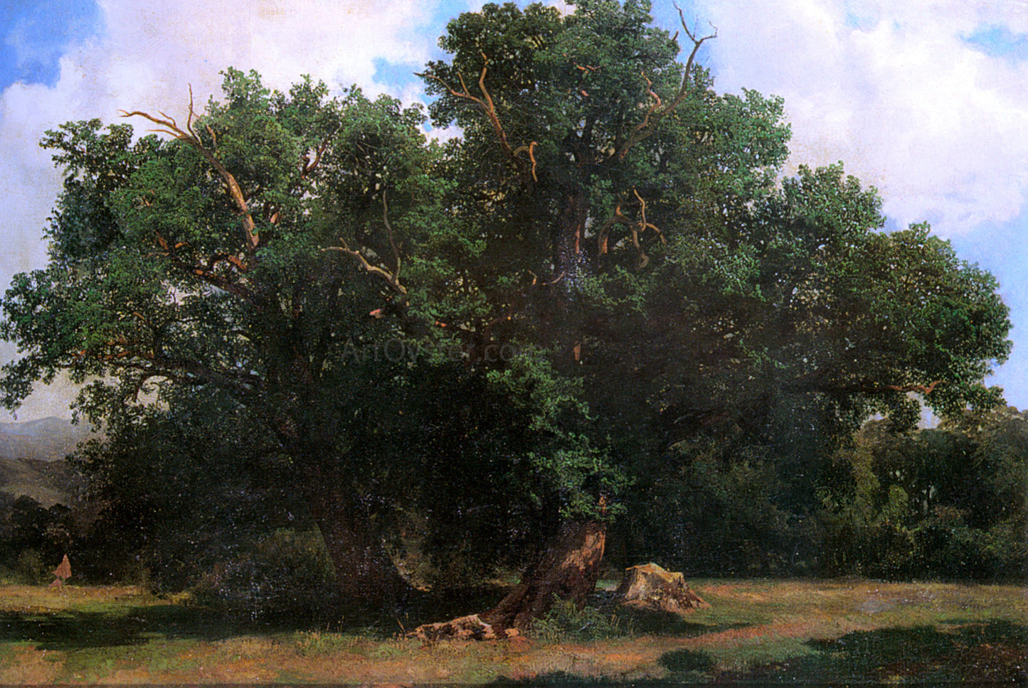 Johannes Bosboom Oak Trees - Canvas Print