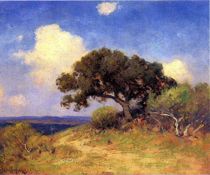 Julian Onderdonk Old Live Oak - Canvas Print