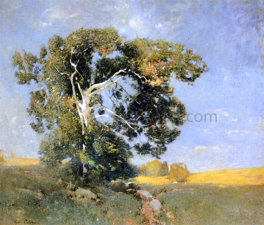 Emil Carlsen Old Sycamore - Canvas Print