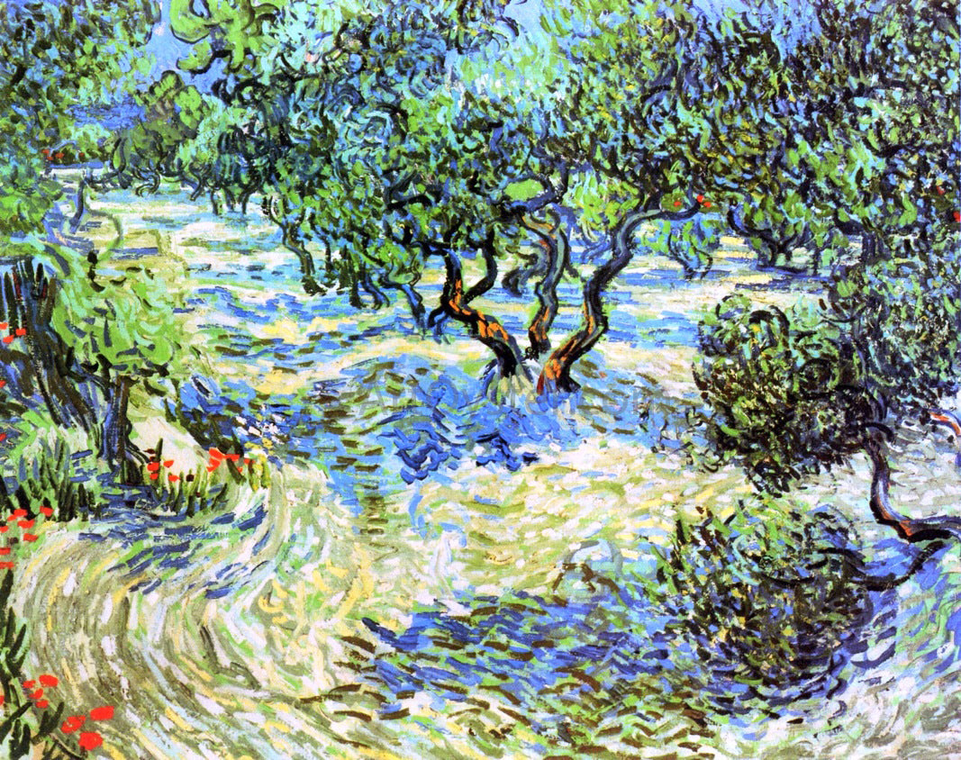 Vincent Van Gogh Olive Grove: Bright Blue Sky - Canvas Print