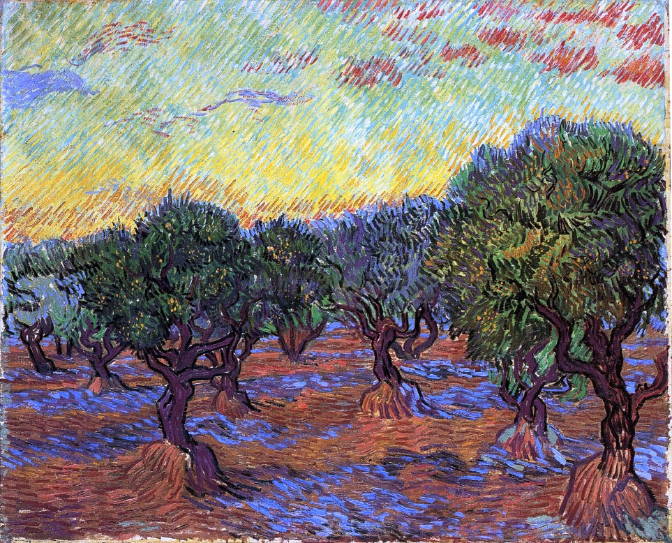 Vincent Van Gogh Olive Grove: Orange Sky - Canvas Print