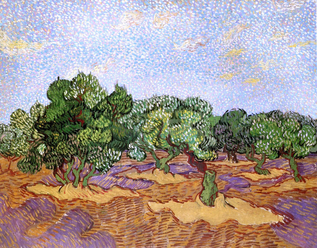 Vincent Van Gogh Olive Grove: Pale Blue Sky - Canvas Print