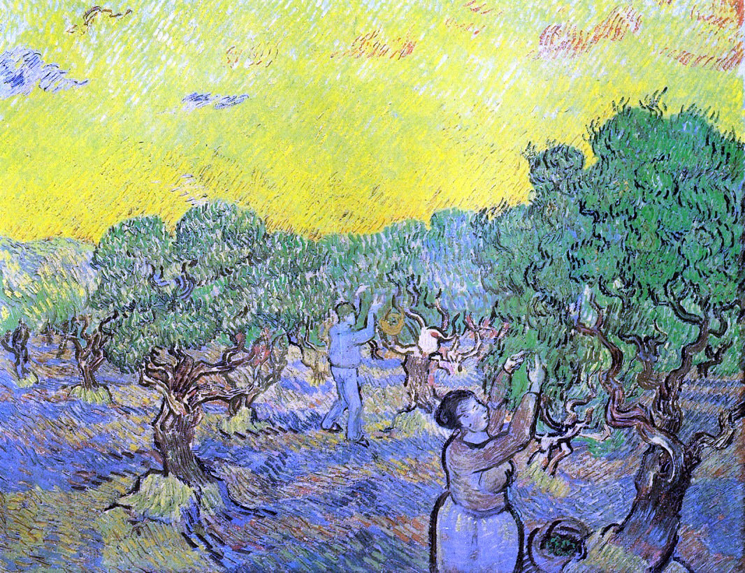 Vincent Van Gogh Olive Grove with Picking Figures - Canvas Print