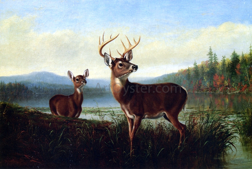 Arthur Fitzwilliam Tait On the Alert - Canvas Print