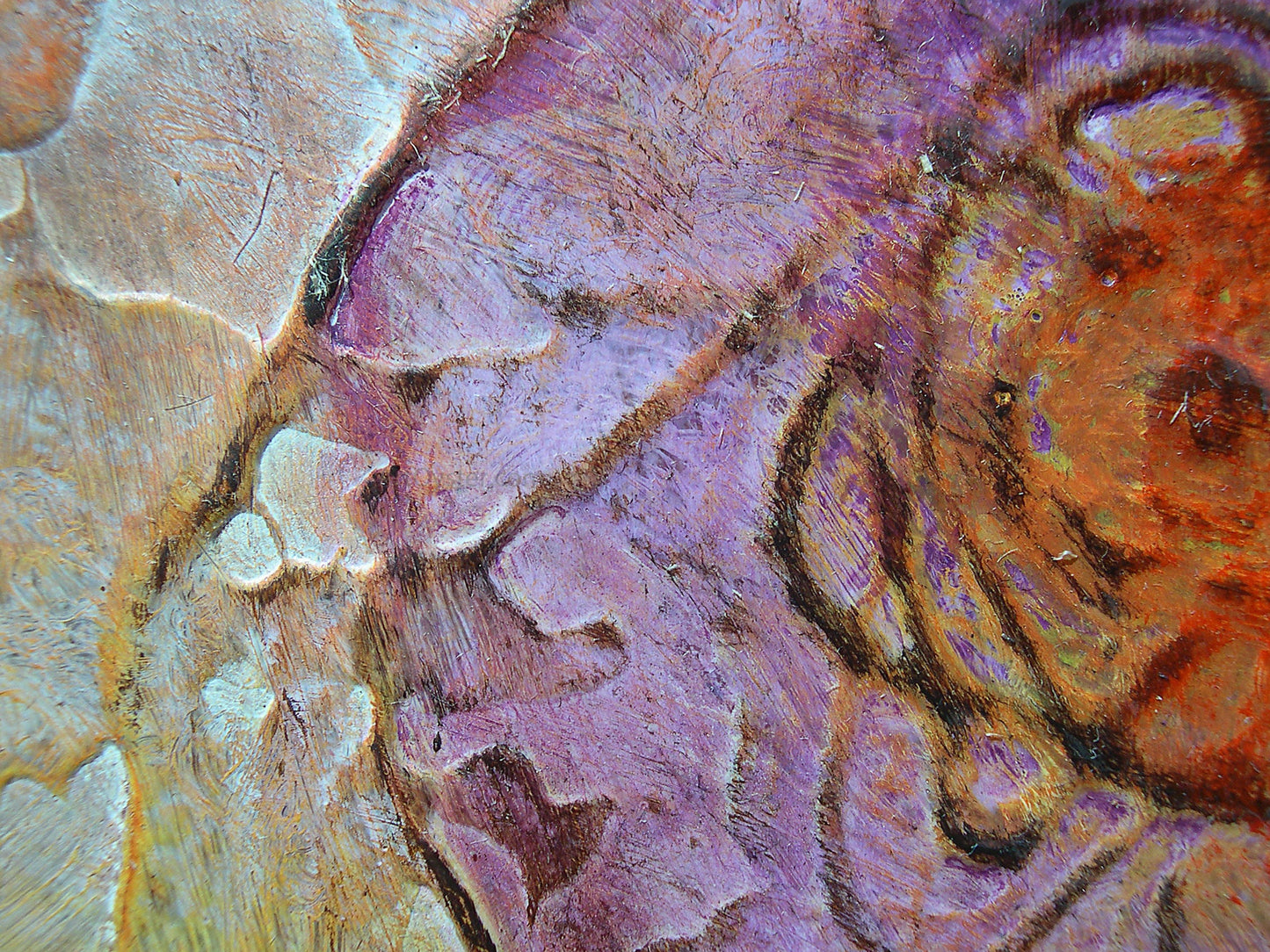 Our Original Collection Orange Purple Flower Abstract - Canvas Print